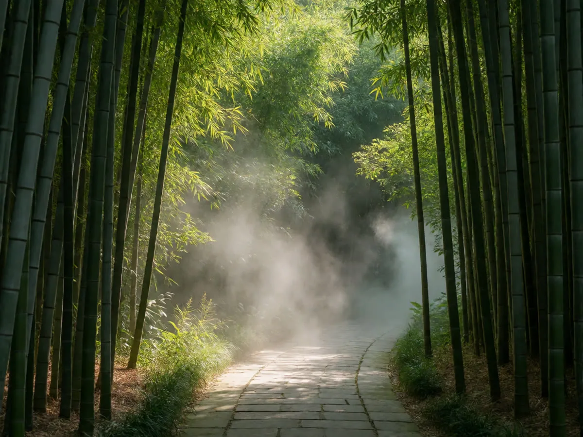Misty bamboo path in a Chengdu park
